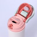 Owala Stainless Steel Bottle 