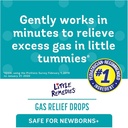 Little Remedies Gas Relief Drops 