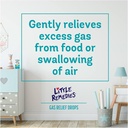 Little Remedies Gas Relief Drops 