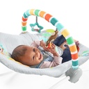 Bright Starts Safari Blast Infant To Toddler Rocker 