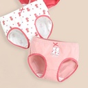 Girls 3pcs Set Panties 