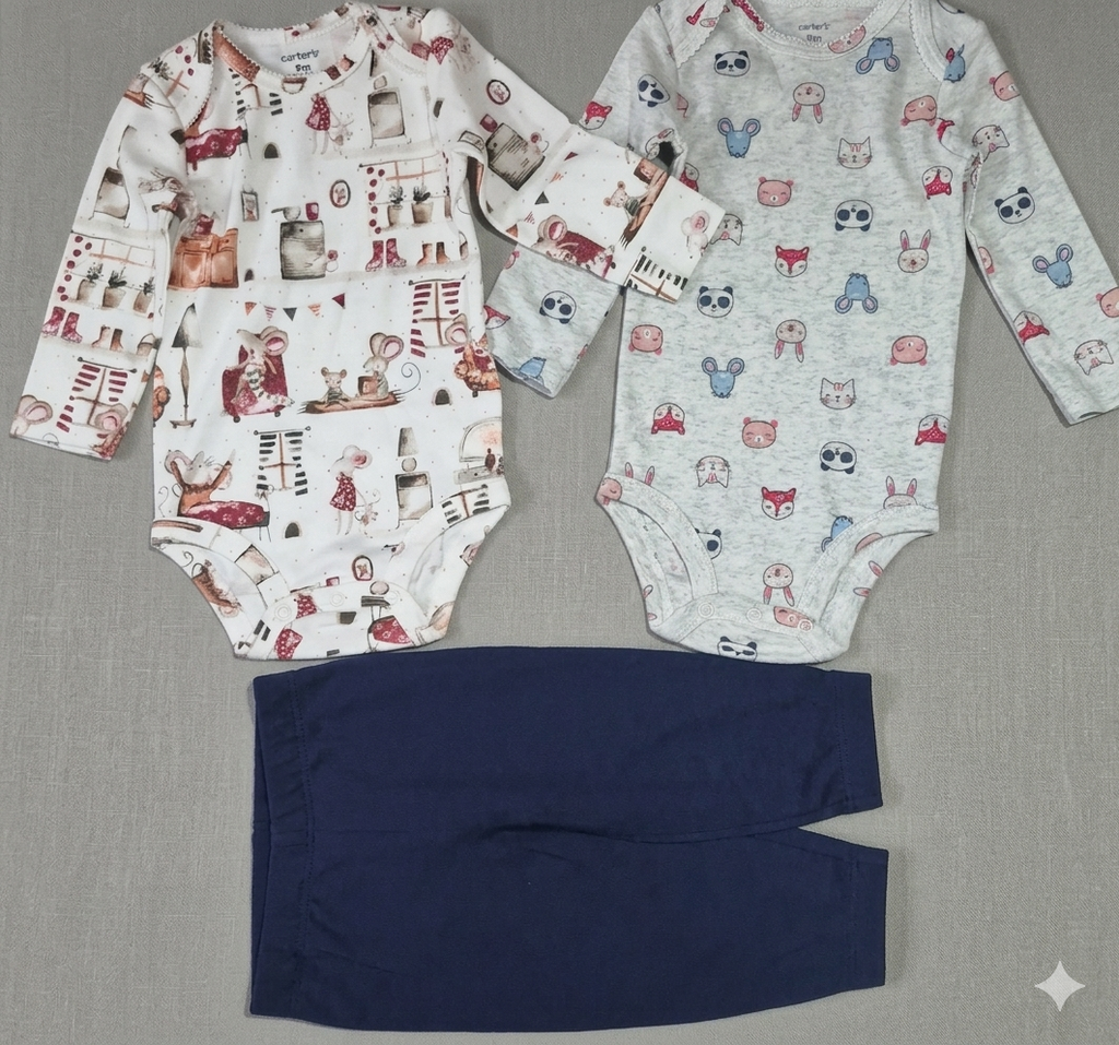 Carter's 3pcs Set Girls (9m)