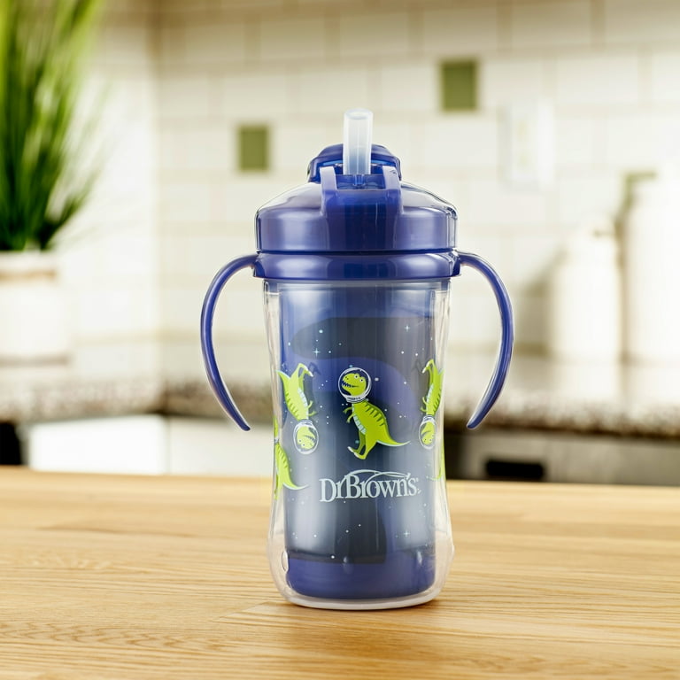 Dr Brown's Milestone Insulated Straw Cup 