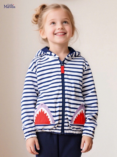 Little Maven hooded sweater 