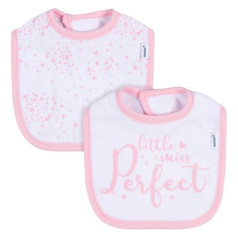 Gerber 2pcs Set Bib